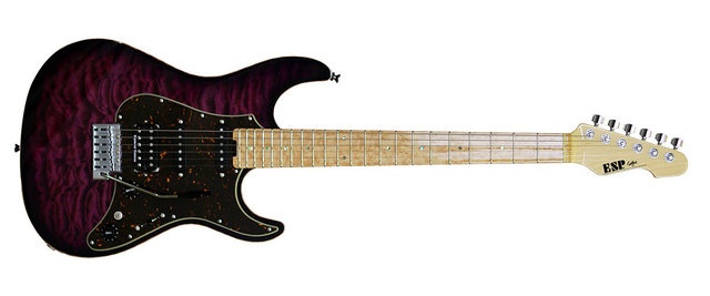 GK-008 S1425102 SNAPPER-CTM See Thru Purple Sunbur